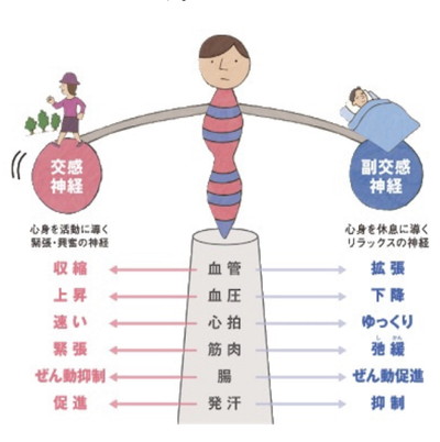 寒くなると風邪やインフルエンザが流行るのはなぜ？