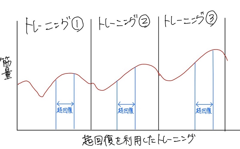 《筋トレ愛好者必読！！超回復について／カイロプラクター外山恭平》