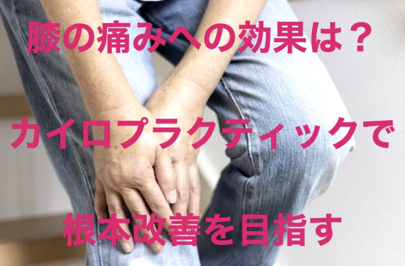 膝の痛みへの効果は？カイロプラクティックで根本改善を目指す