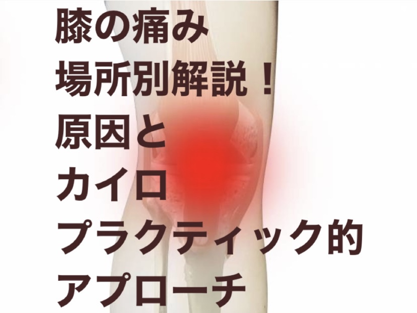 膝の痛み 場所別解説！原因とカイロプラクティック的アプローチ