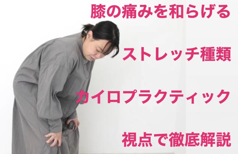 膝の痛みを和らげるストレッチ種類|カイロプラクティック視点で徹底解説