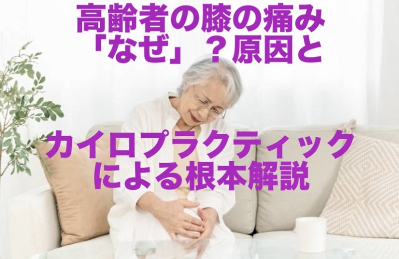 高齢者の膝の痛み「なぜ」？原因とカイロプラクティックによる根本解説