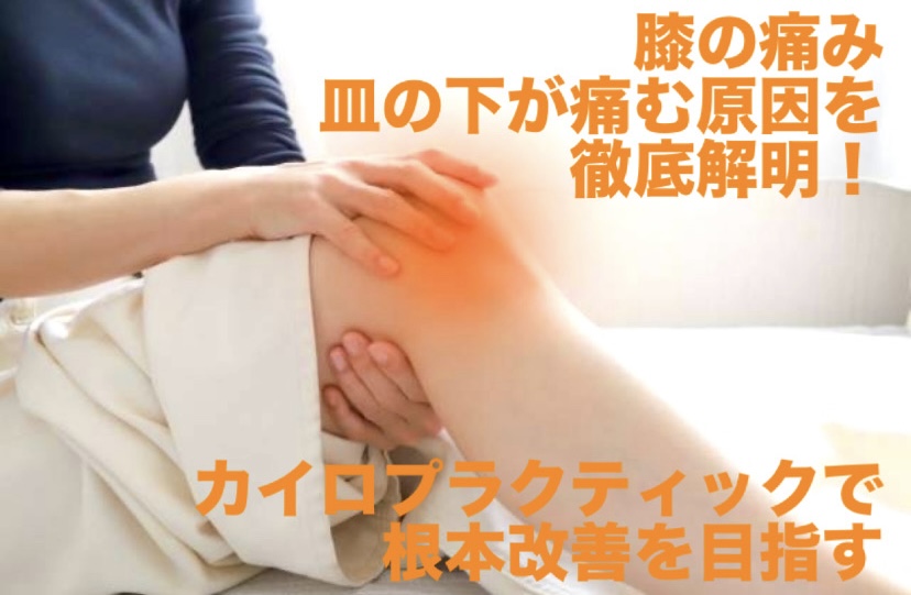 膝の痛み、皿の下が痛む原因を徹底解明！カイロプラクティックで根本改善を目指す