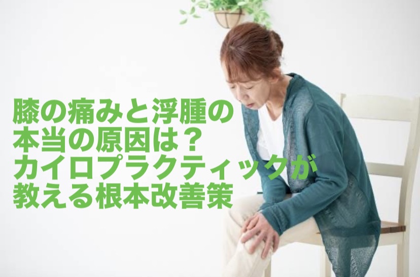 膝の痛みと浮腫の本当の原因は？カイロプラクティックが教える根本改善策