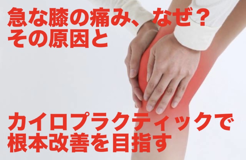 急な膝の痛み、なぜ？その原因とカイロプラクティックで根本改善を目指す