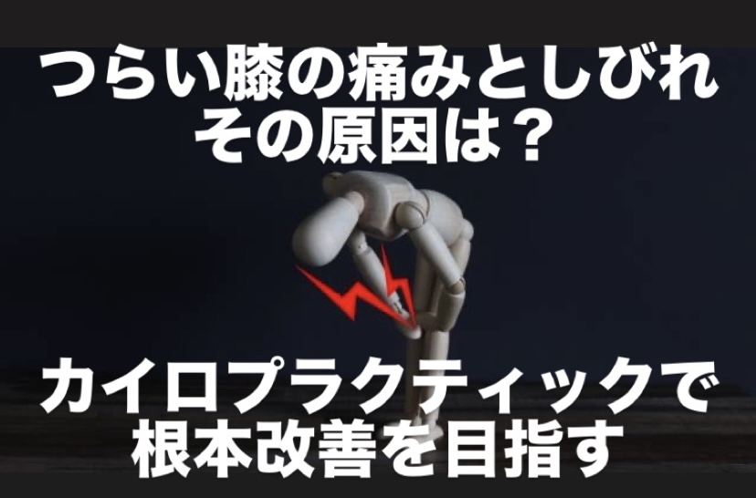 つらい膝の痛みとしびれ、その原因は?カイロプラクティックで根本改善を目指す