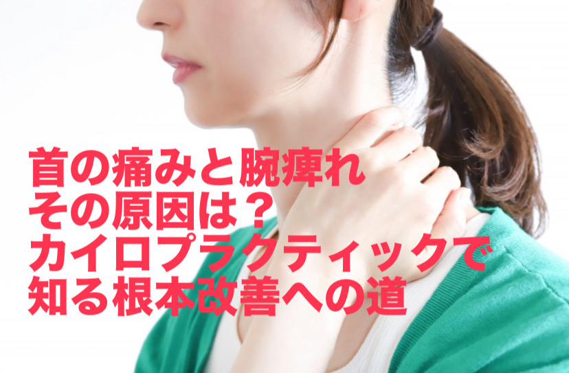 首の痛みと腕痺れ、その原因は？カイロプラクティックで知る根本改善への道