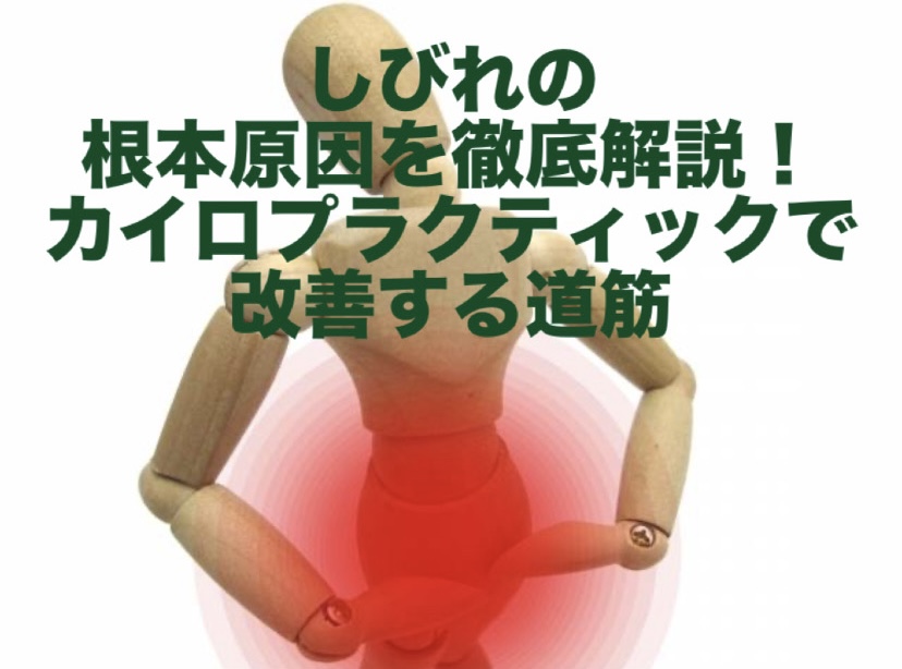 しびれの根本原因を徹底解説！カイロプラクティックで改善する道筋