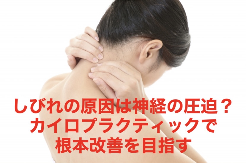 しびれの原因は神経の圧迫?カイロプラクティックで根本改善を目指す