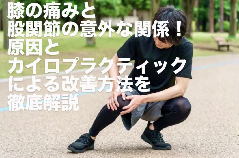 膝の痛みと股関節の意外な関係！原因とカイロプラクティックによる改善方法を徹底解説
