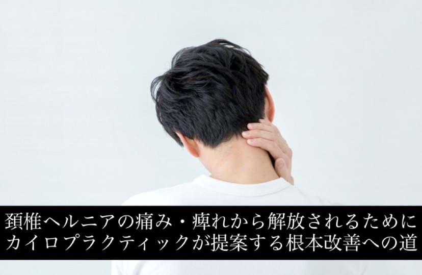 頚椎ヘルニアの痛み・痺れから解放されるために｜カイロプラクティックが提案する根本改善への道