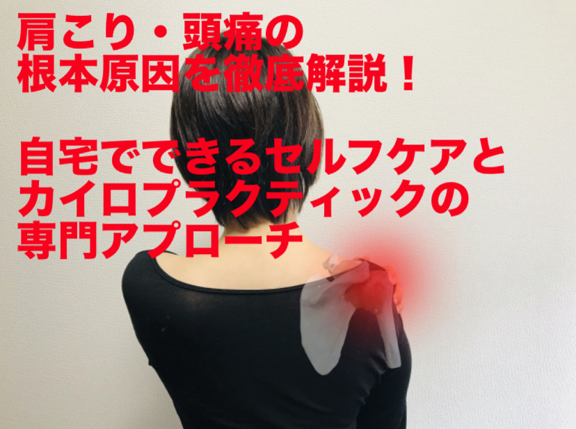 肩こり・頭痛の根本原因を徹底解説！自宅でできるセルフケアとカイロプラクティックの専門アプローチ