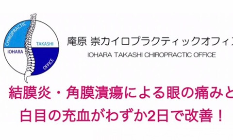 結膜炎そして網膜潰瘍による眼の痛みと白目の充血がわずか2日で改善！